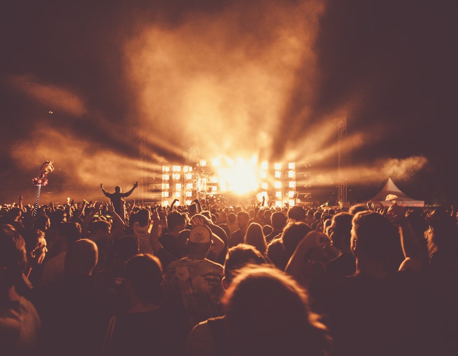 Festivals & Concerts